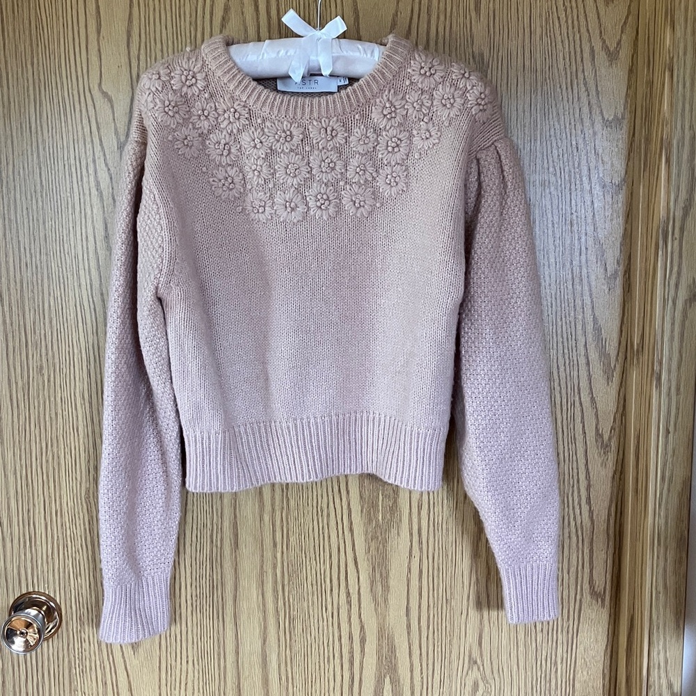 Astr Embroidered Floral Crewneck Sweater in Blush Pink
